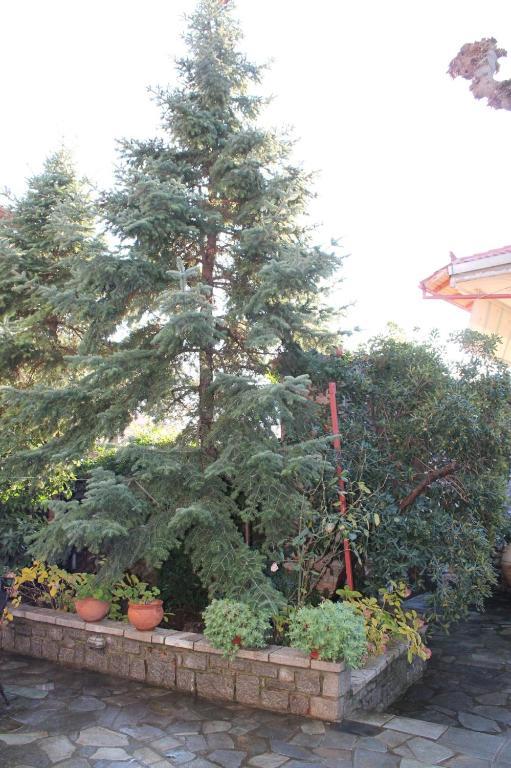 Guesthouse Karahalios بوليدروسوس المظهر الخارجي الصورة