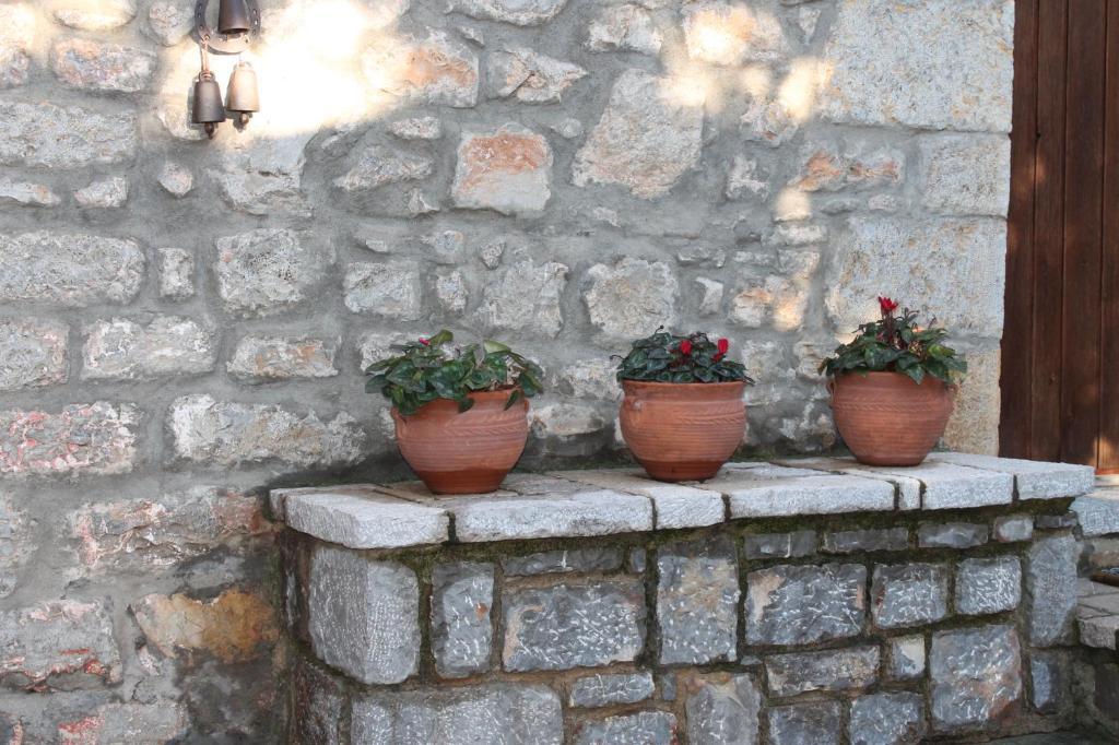 Guesthouse Karahalios بوليدروسوس المظهر الخارجي الصورة